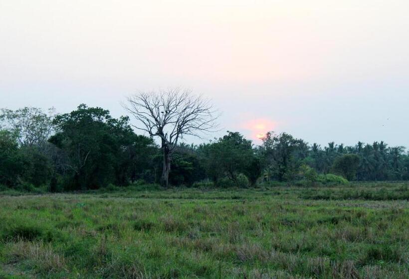 هتل Athyantha Resort