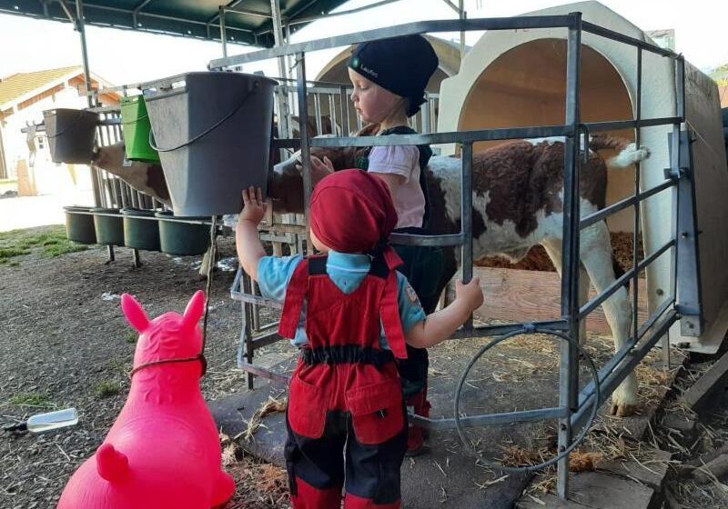 Hotel Fuchsbauernhof