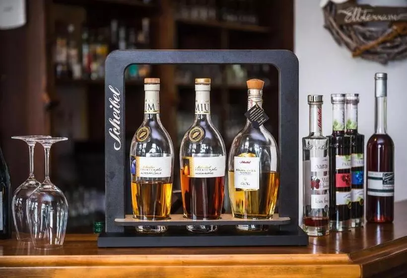 Hotelli Elbterrasse Wörlitz