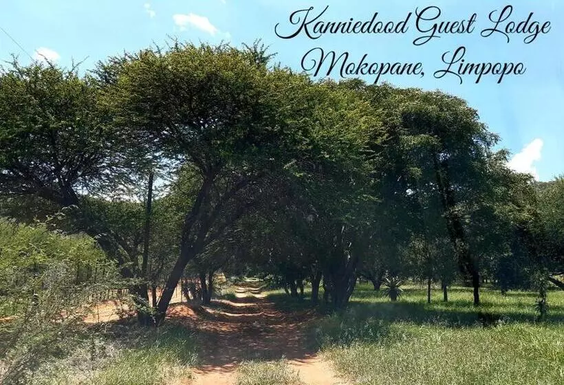 ペンション Kanniedood Guest Lodge
