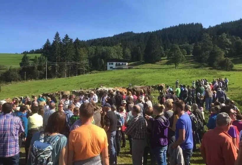 Отель Bed & Breakfast Jungholz   Pension Katharina