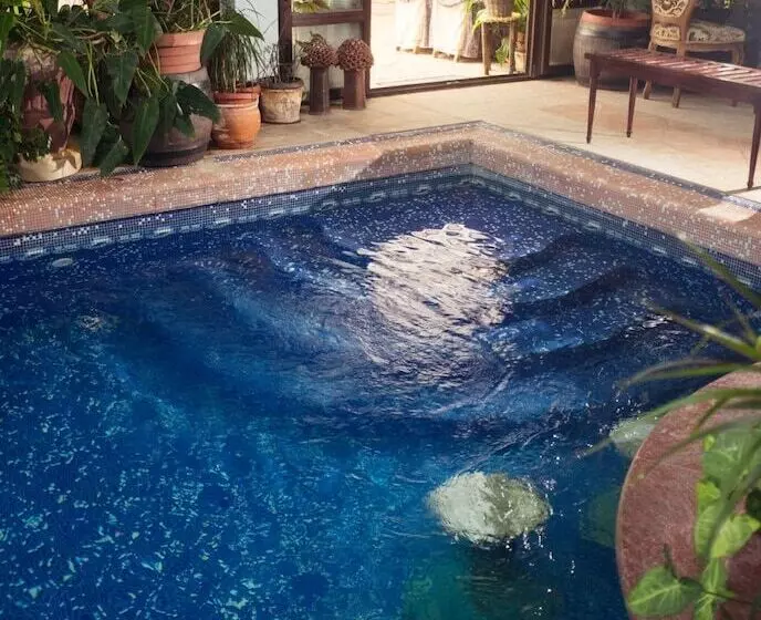 ホテル Dallas Residence