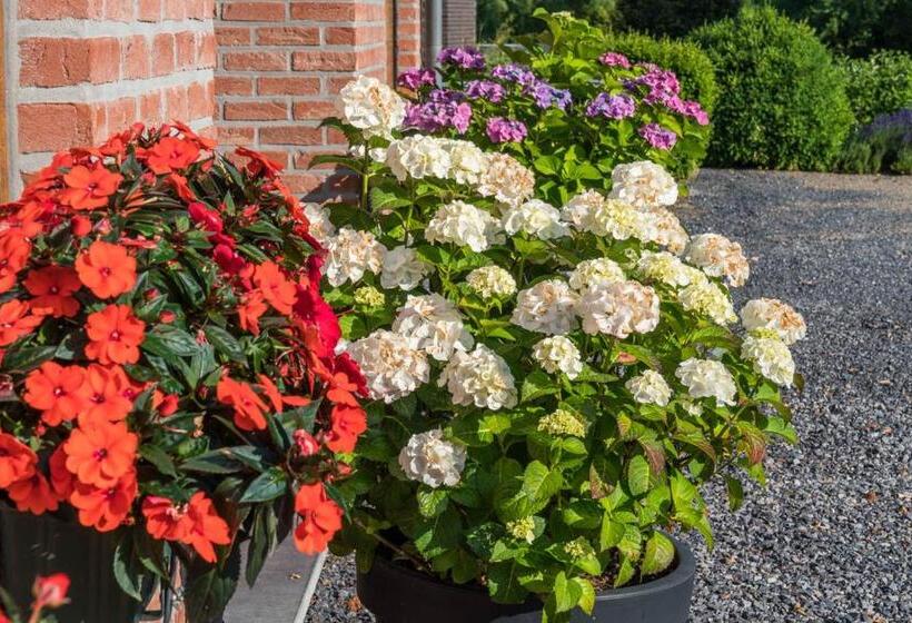 ホテル Logis Hôtel Le Menobu