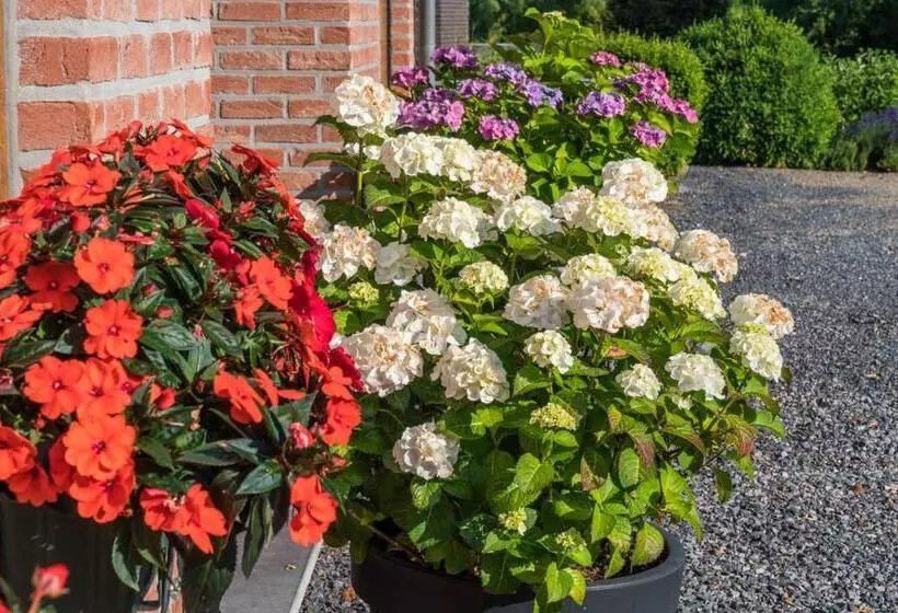 Отель Logis Hôtel Le Menobu