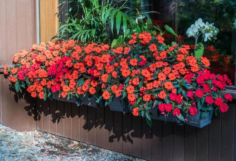 ホテル Logis Hôtel Le Menobu