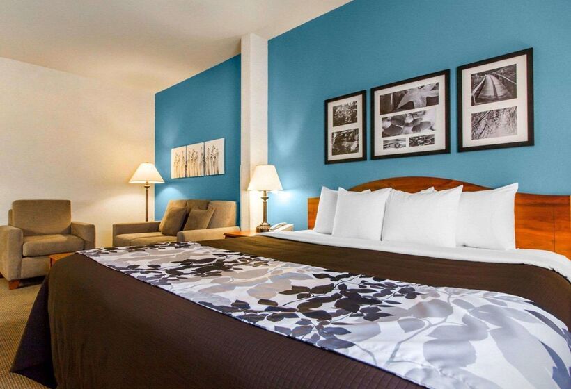 Отель Sleep Inn & Suites