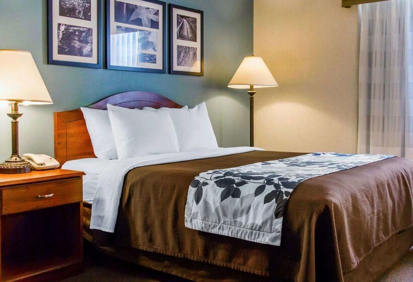 Отель Sleep Inn & Suites
