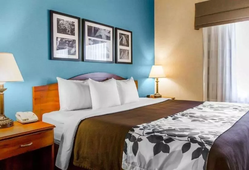 호텔 Sleep Inn & Suites
