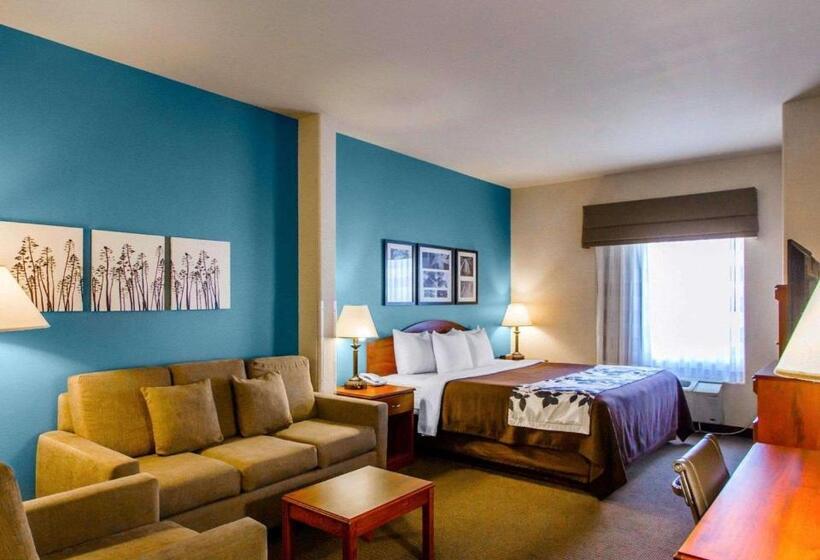 Отель Sleep Inn & Suites