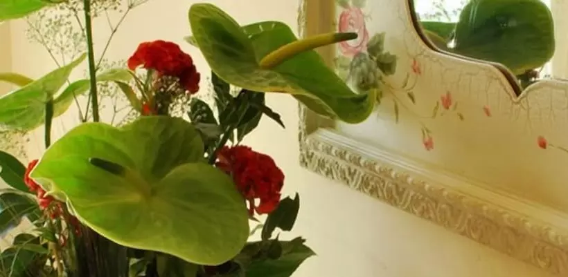 בית מלון כפרי Sovrano