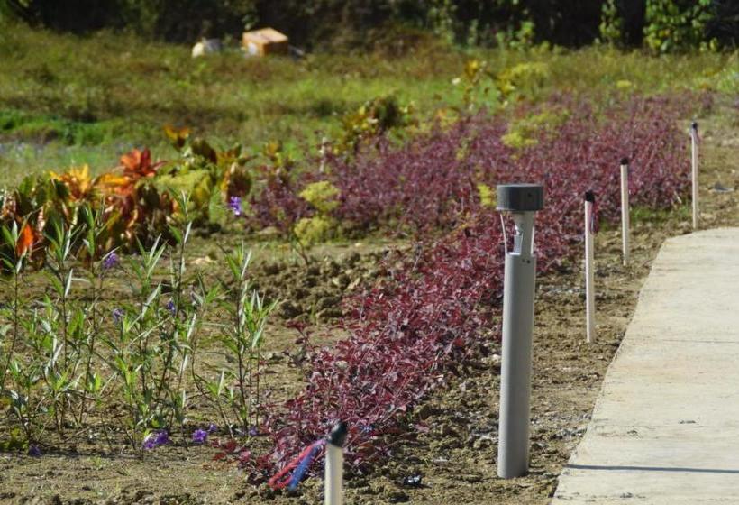 Hotel Exotica Squares