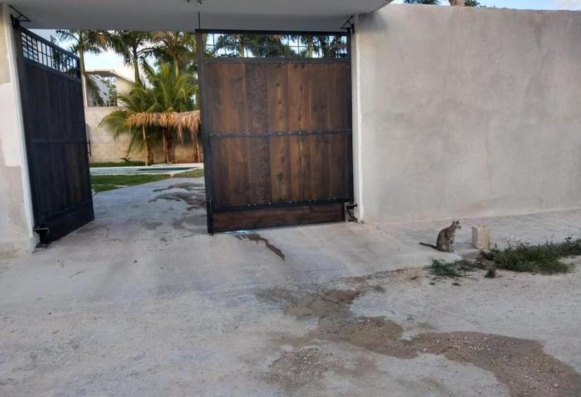 Nicté-ha Cancun B&b