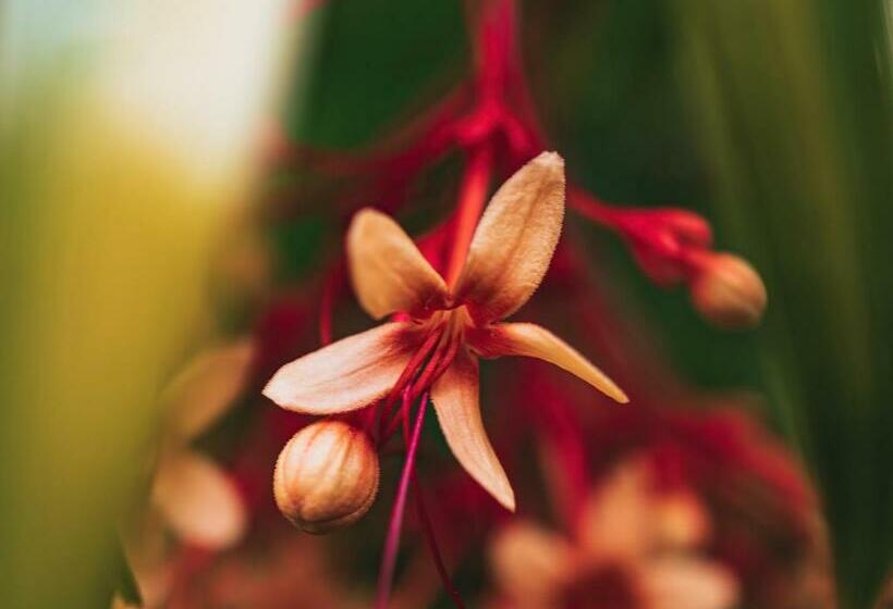 Pension La Tienda Pousada