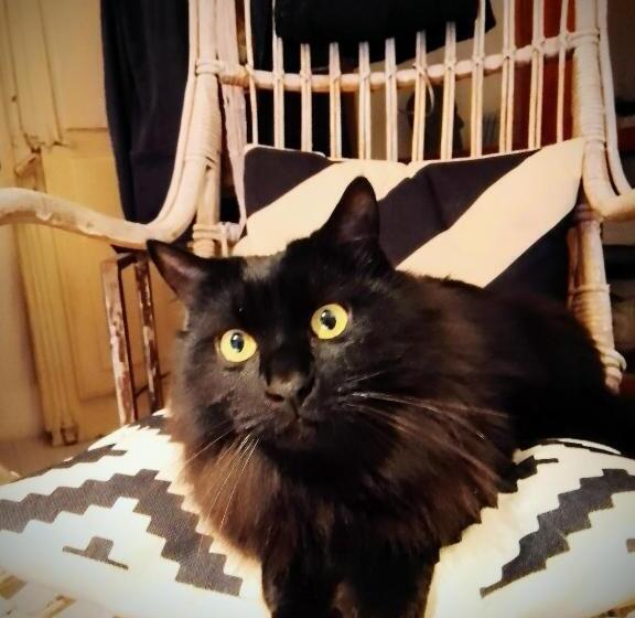 住宿加早餐 Piano21