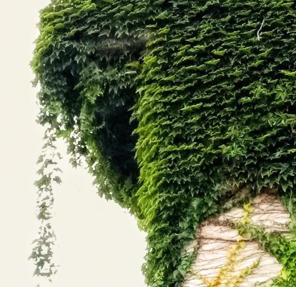 住宿加早餐 Piano21