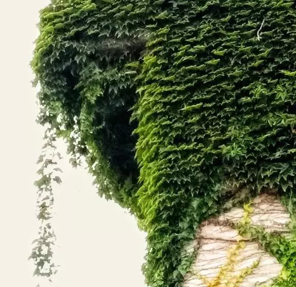 تختخواب و صبحانه Piano21
