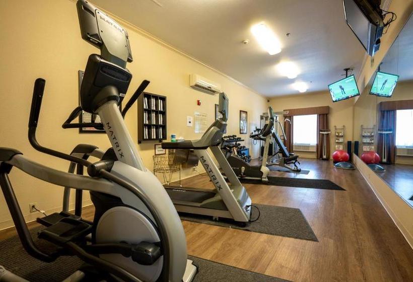 酒店 Holiday Inn Express & Suites Deer Park, An Ihg