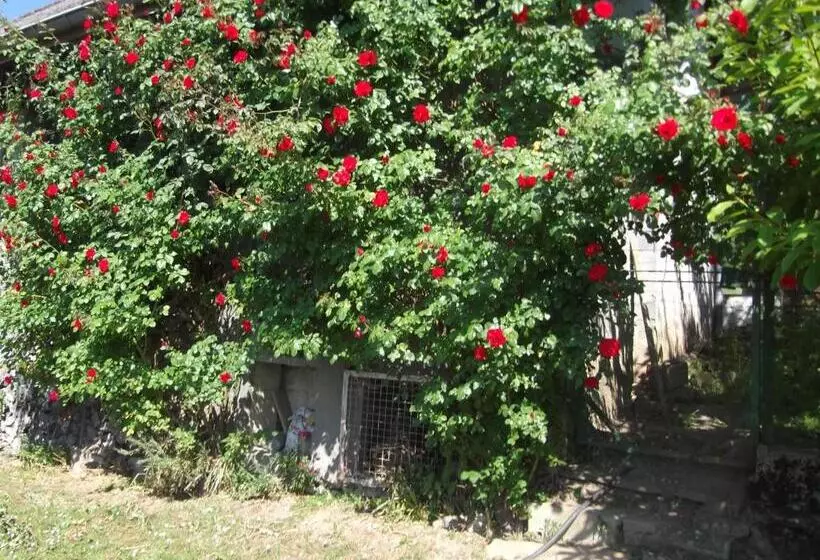 Majatalo Au Coeur De La Campagne   Gite Non Loins D Annecy  à 17 Min D Annecy   Tout Prêt D Aix Les Bains
