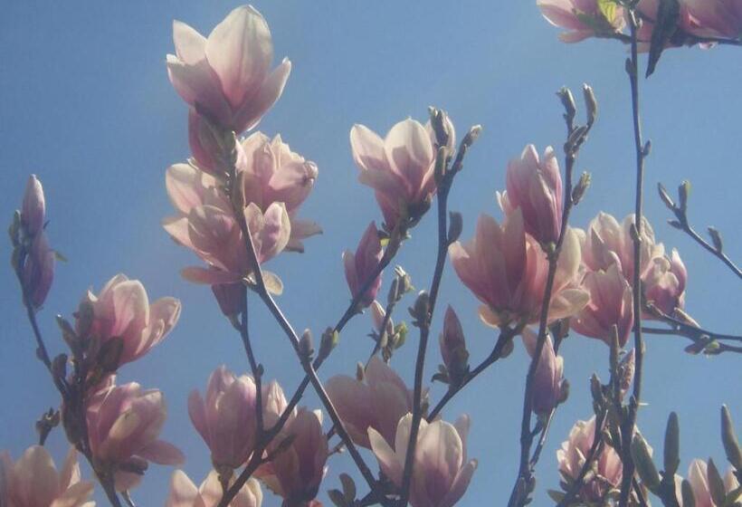 膳宿费 Au Coeur De La Campagne Gite Non Loins D Annecy à 17 Min D Annecy Tout Prêt D Aix Les Bains