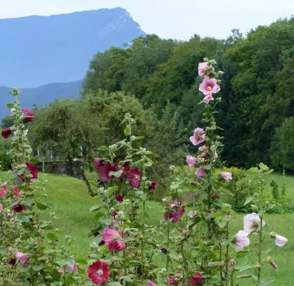 Majatalo Au Coeur De La Campagne   Gite Non Loins D Annecy  à 17 Min D Annecy   Tout Prêt D Aix Les Bains