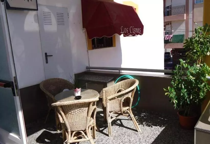 Pension Los Cisnes