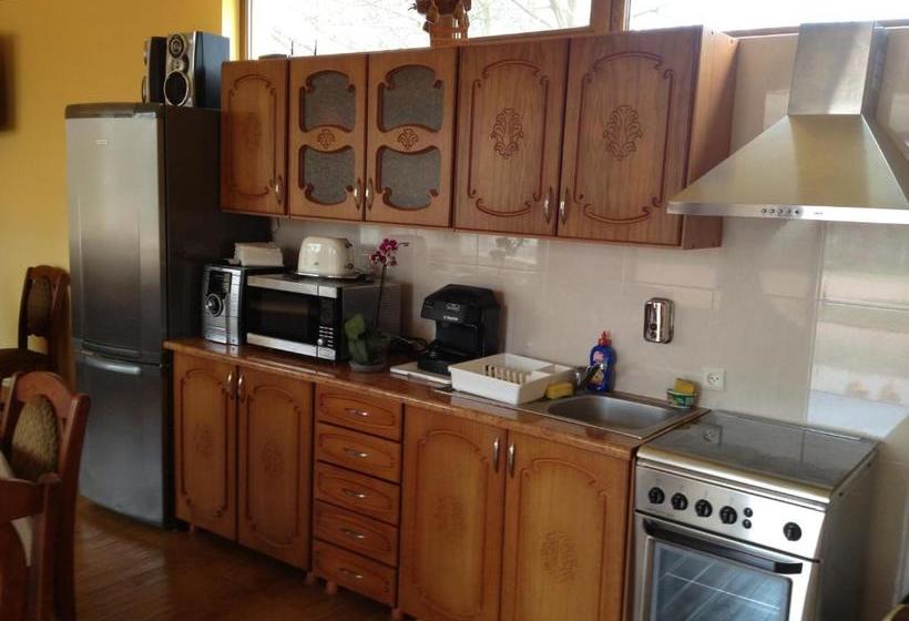 Pensiunea Popasul Dacilor