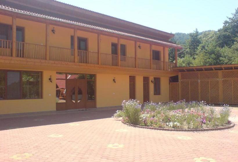 Pensiunea Popasul Dacilor