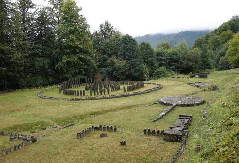 Pensiunea Popasul Dacilor