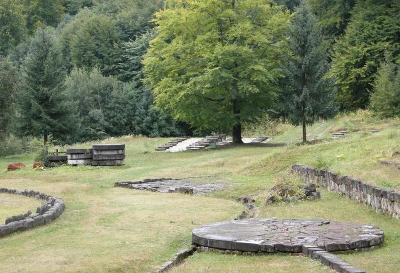 Pensiunea Popasul Dacilor