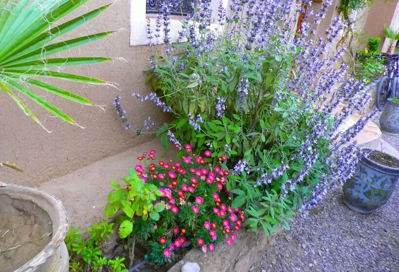 ホテル Auberge La Fibule Du Dades