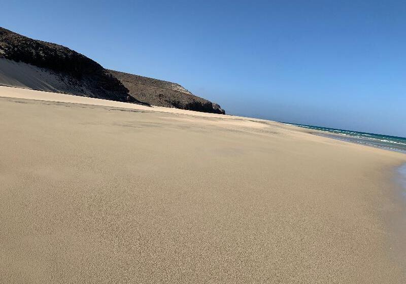 Apartamentos Alberto