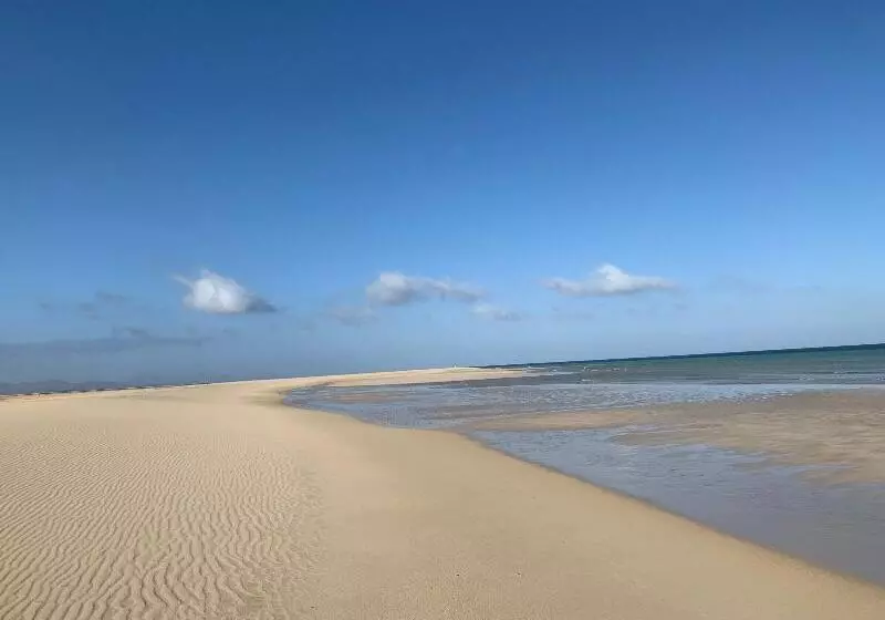 Apartamentos Alberto