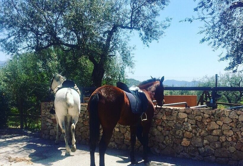 Complejo Rural Las Mayoralas