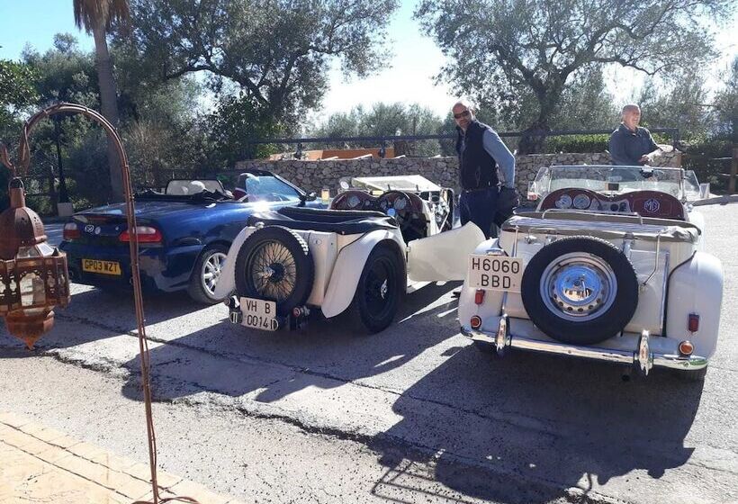 Complejo Rural Las Mayoralas