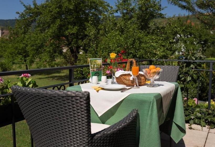 Donauhof   Hotel Garni