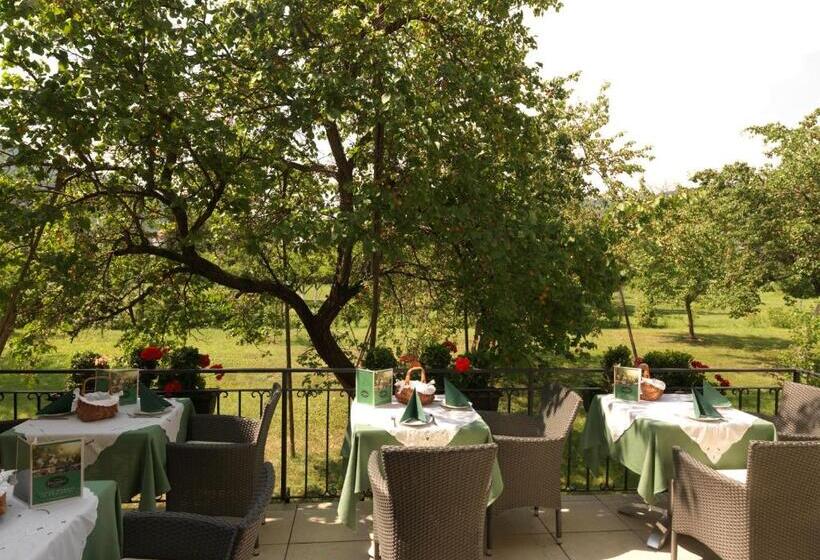 Donauhof   Hotel Garni