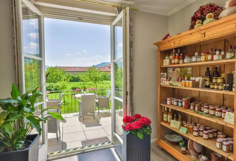 Donauhof   Hotel Garni