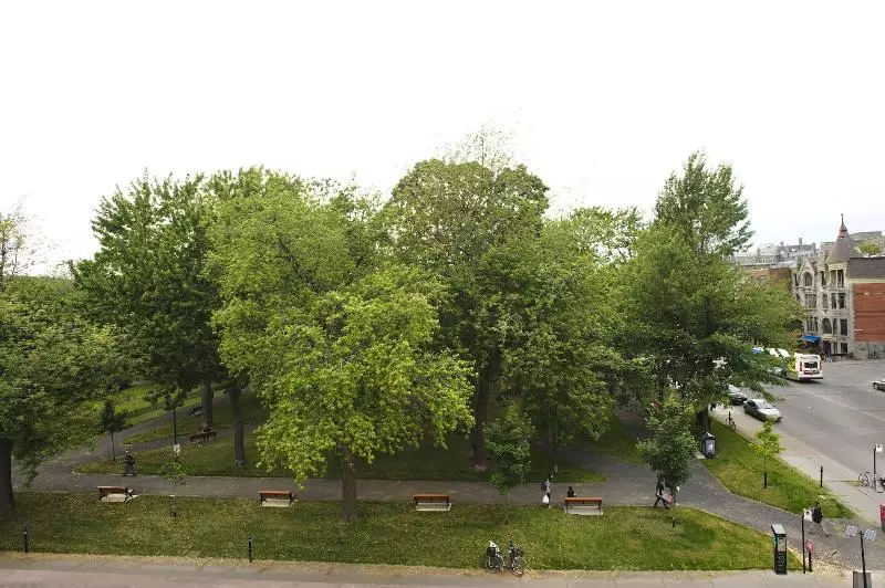 Отель & Spa Carré Saint Louis