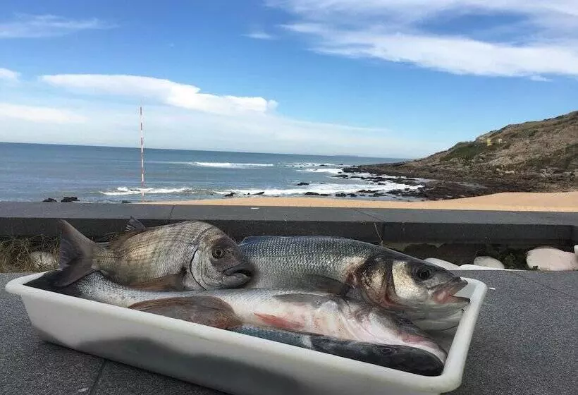 בית מלון כפרי Promar  Eco Beach & Spa