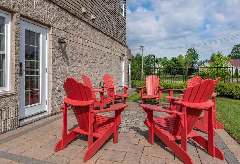 فندق Quality Inn & Suites Amsterdam