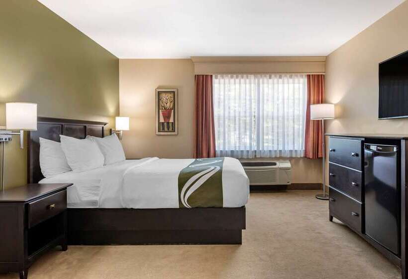 فندق Quality Inn & Suites Amsterdam