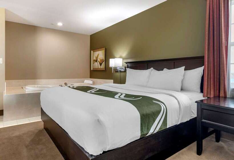 فندق Quality Inn & Suites Amsterdam