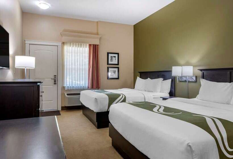 فندق Quality Inn & Suites Amsterdam