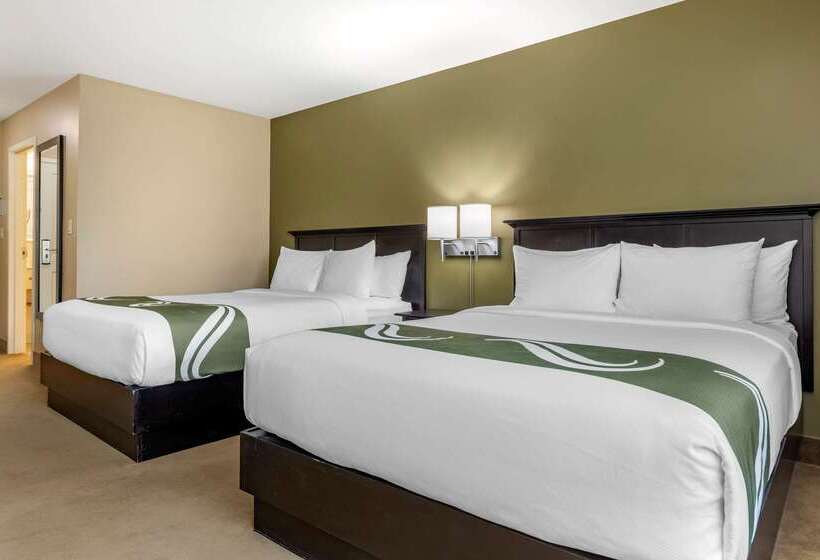فندق Quality Inn & Suites Amsterdam