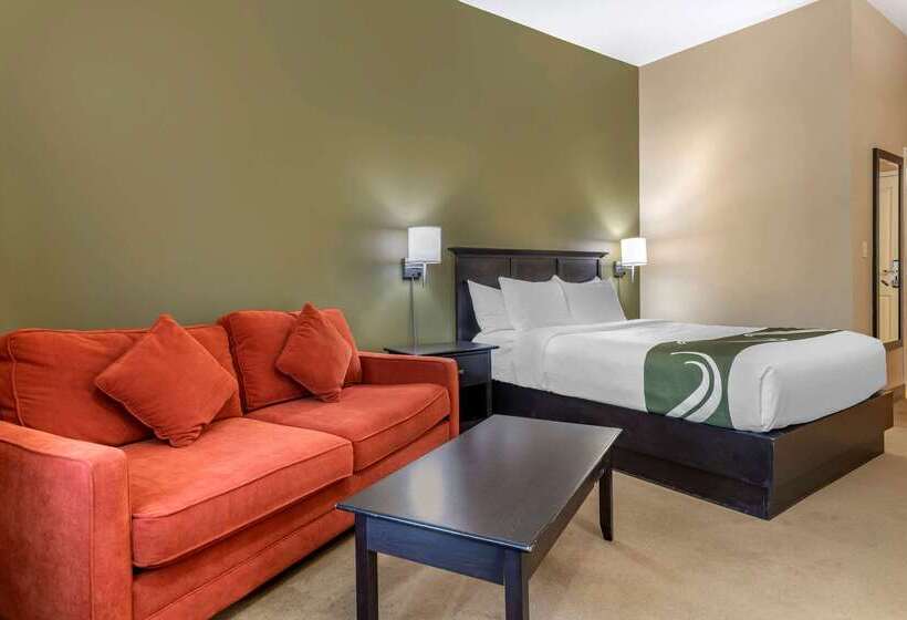 فندق Quality Inn & Suites Amsterdam