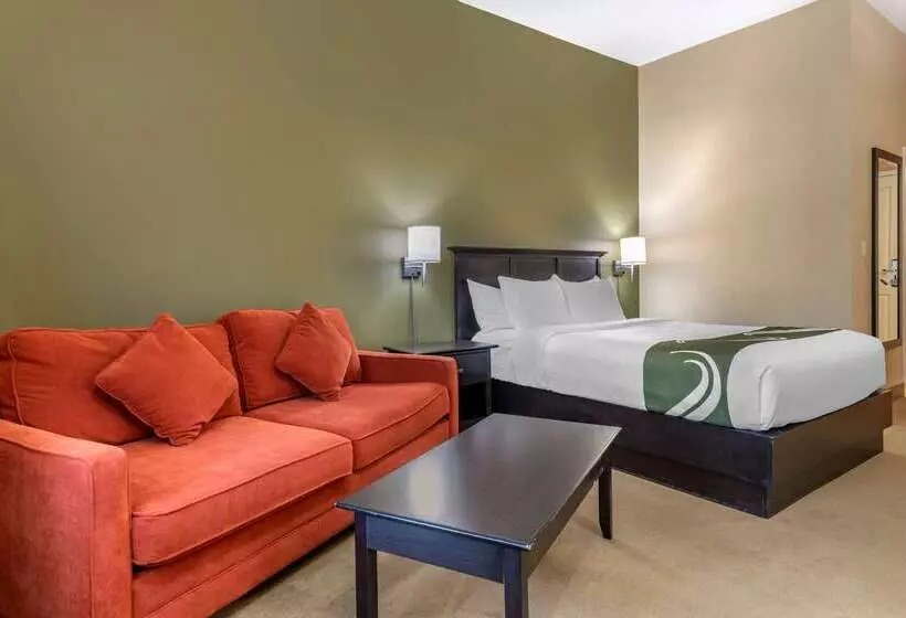 هتل Quality Inn & Suites Amsterdam