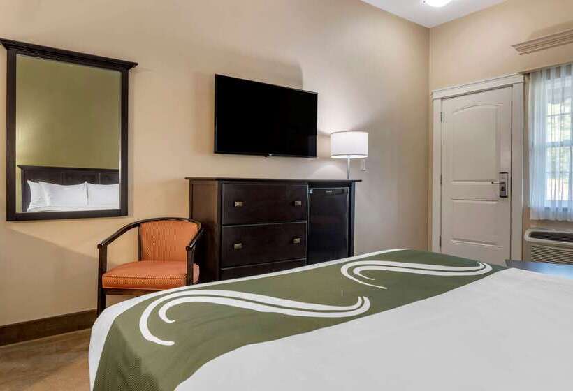 فندق Quality Inn & Suites Amsterdam