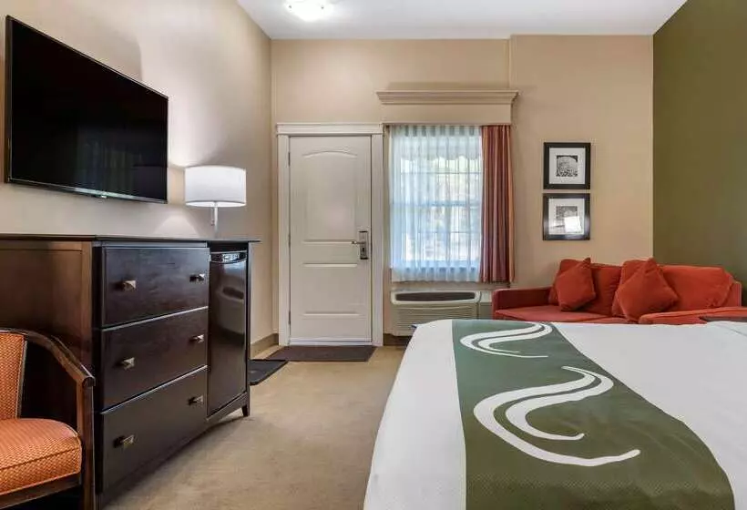 هتل Quality Inn & Suites Amsterdam