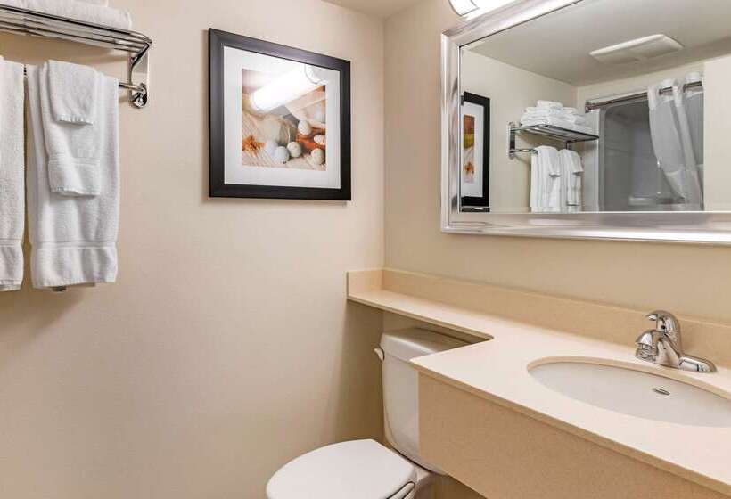 فندق Quality Inn & Suites Amsterdam