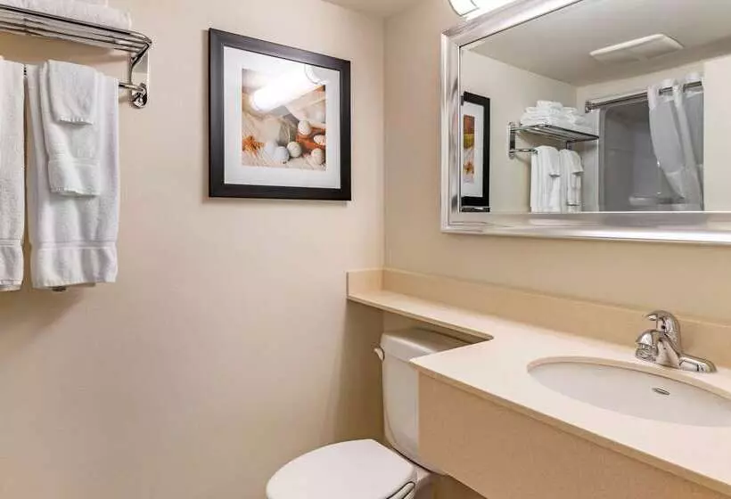 هتل Quality Inn & Suites Amsterdam